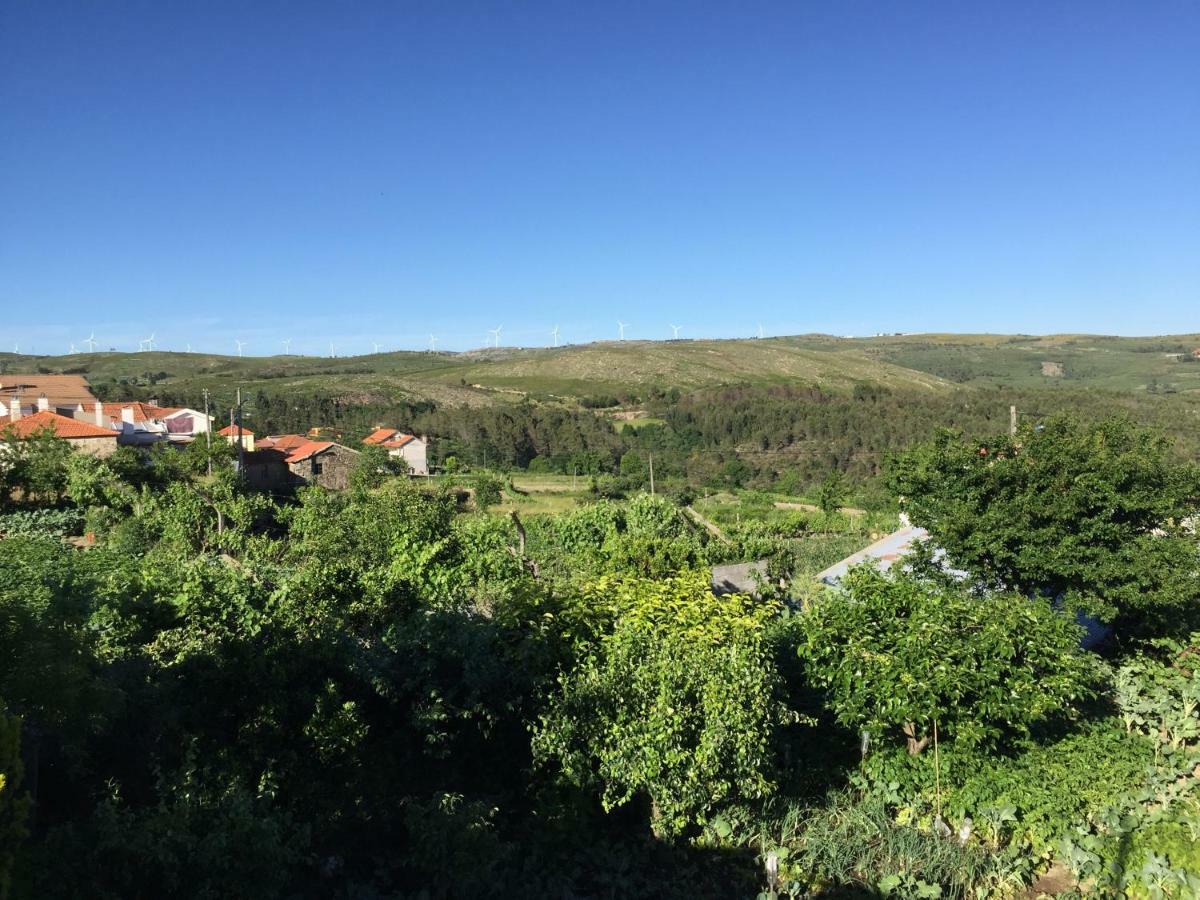 São Joaninho Casa Dos Pisoeiros Montemuro/Douro المظهر الخارجي الصورة